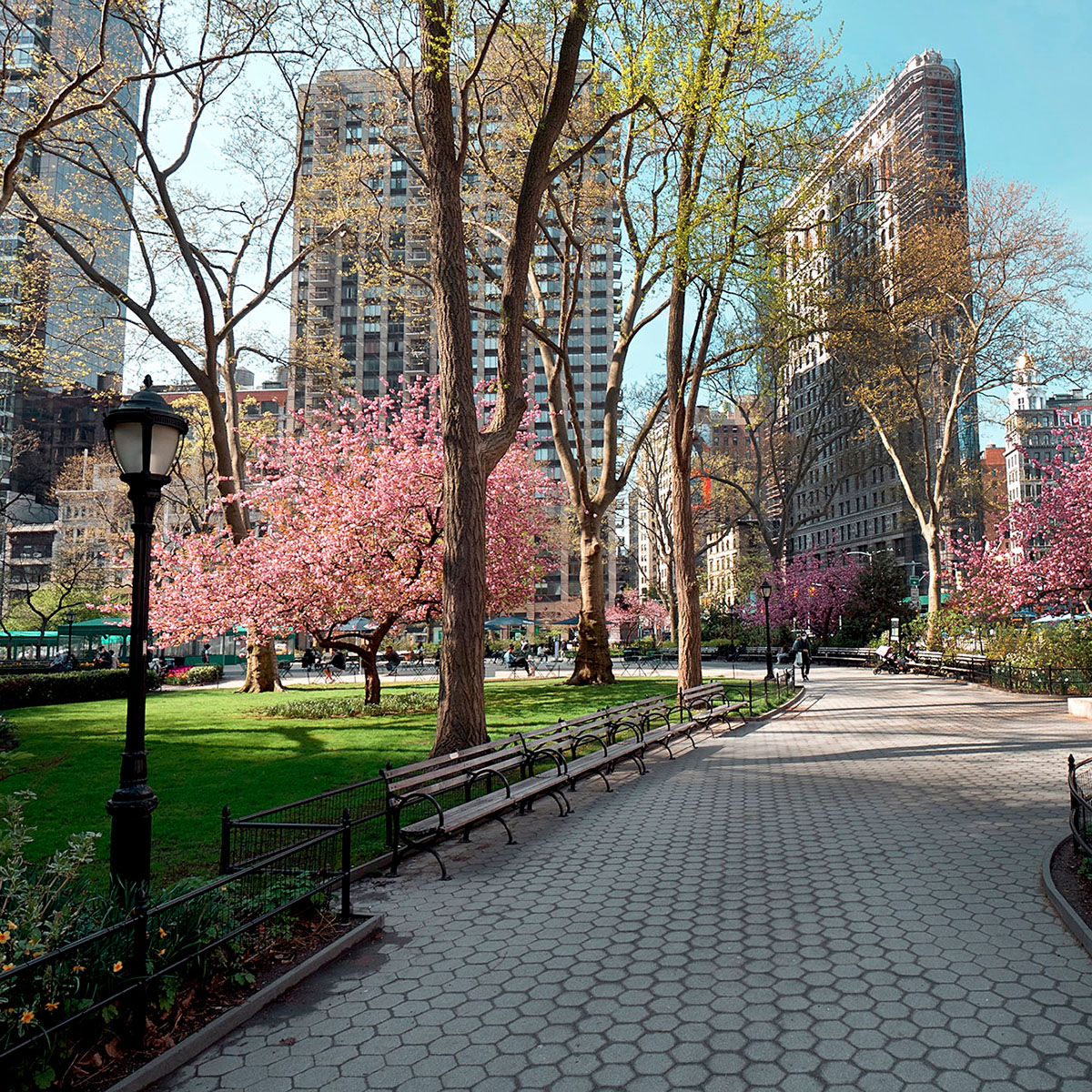 Madison Square Park